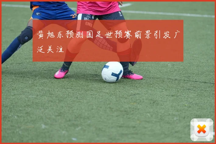 黄旭东预测国足世预赛前景引发广泛关注