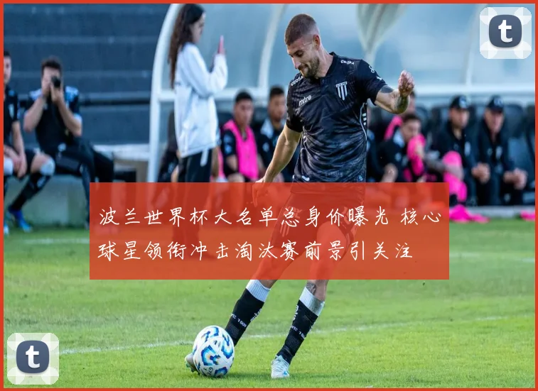 波兰世界杯大名单总身价曝光 核心球星领衔冲击淘汰赛前景引关注