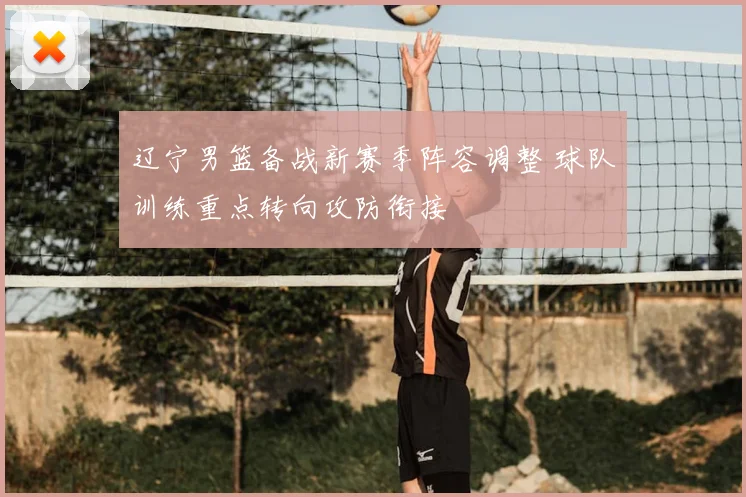 辽宁男篮备战新赛季阵容调整 球队训练重点转向攻防衔接