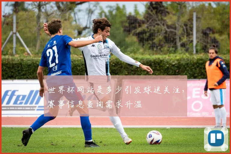 世界杯网站是多少引发球迷关注，赛事信息查询需求升温