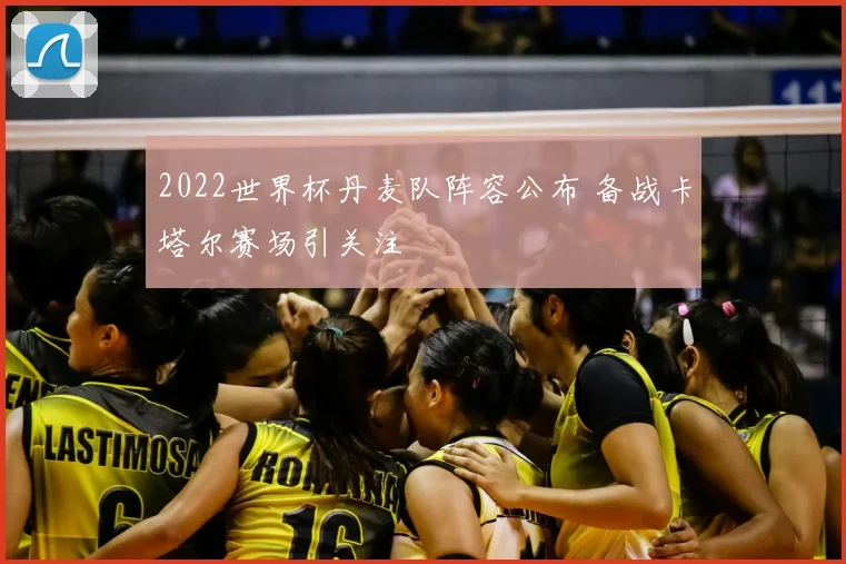 2022世界杯丹麦队阵容公布 备战卡塔尔赛场引关注