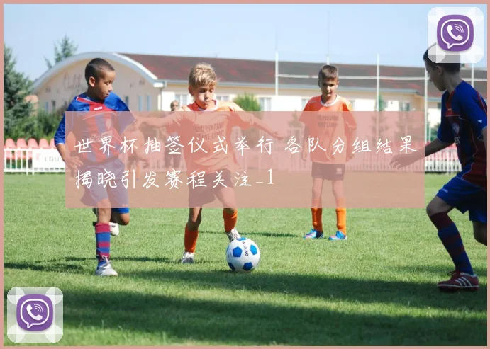 世界杯抽签仪式举行 各队分组结果揭晓引发赛程关注_1