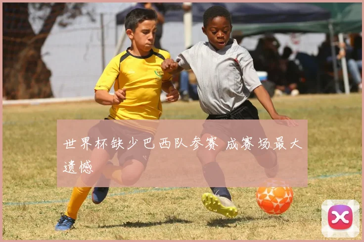 世界杯缺少巴西队参赛 成赛场最大遗憾