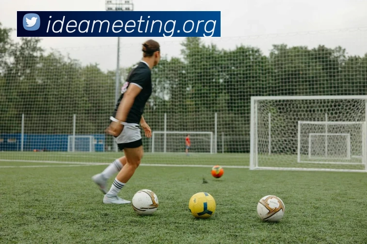 leyu乐鱼在线登录最新官网APP 封面图