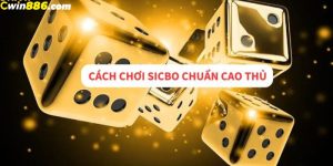 ảnh bìa mẹo chơi sicbo 77win